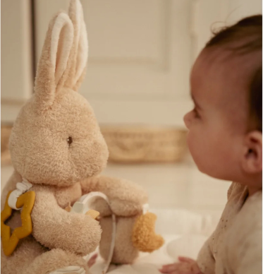 Little Goose/Baby bunny - Leget&oslash;j