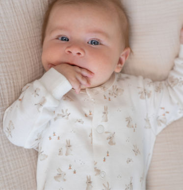 Little Goose/Baby bunny - T&oslash;j (NOOS)