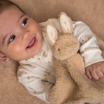 Little Goose/Baby bunny