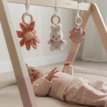 Little Dutch X Miffy