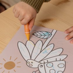 Little Dutch - Voksfarver^