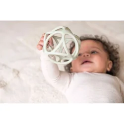 Little Dutch - Sansebold - Grn