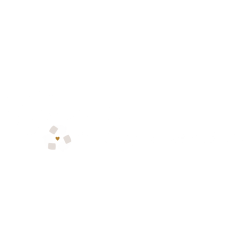 Wildride - ECO White