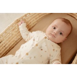 Little Dutch - Heldragt Forest Nature