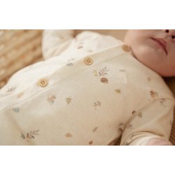 Little Dutch - Heldragt Forest Nature