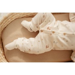 Little Dutch - Heldragt Forest Nature