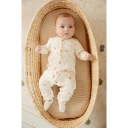 Little Dutch - Heldragt Forest Nature