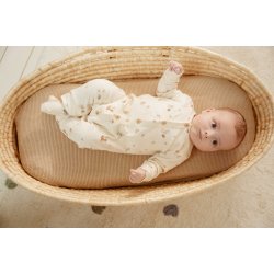 Little Dutch - Heldragt Forest Nature