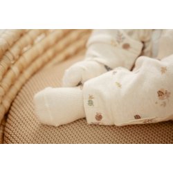 Little Dutch - Heldragt Forest Nature