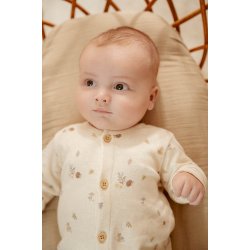 Little Dutch - Heldragt Forest Nature