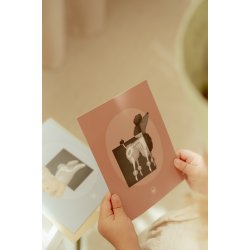 Little Dutch - Dyrl�ge s�t 