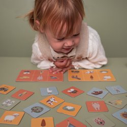 Little Dutch - Lotto Little Farm