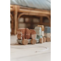 Little Dutch - Stabeltog Egern - Forest Friends^