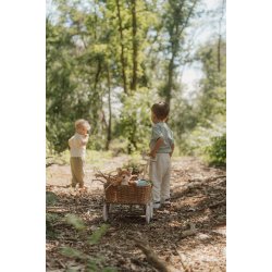 Little Dutch - Kuffertst - Forest Friends Bl 