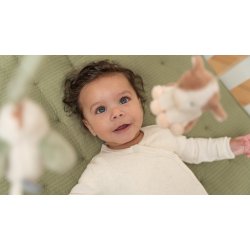 Little Dutch - Musikuro - Little Farm 