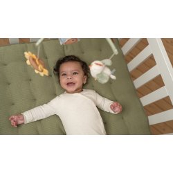 Little Dutch - Musikuro - Little Farm 