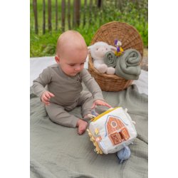 Little Dutch - Aktivitetsterning - Little Farm