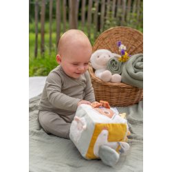 Little Dutch - Aktivitetsterning - Little Farm