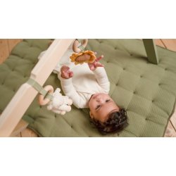 Little Dutch - Babygym - Little Farm