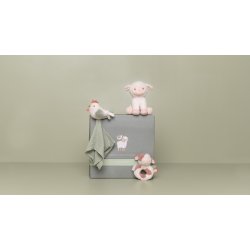 Little Dutch - Gaveske - Little Farm