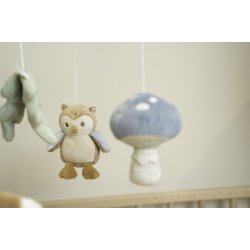 Little Dutch - Musik uro tr - Forest Friends 