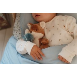 Little Dutch - Bamse Rv - Forest Friends   