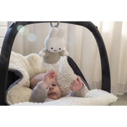 Miffy Pull and Shake - Fluffy Green^