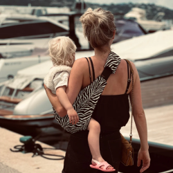 Wildride - Black Zebra