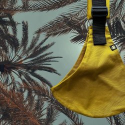 Wildride - Dirty Desert