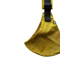 Wildride - Dirty Desert