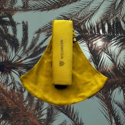 Wildride - Dirty Desert