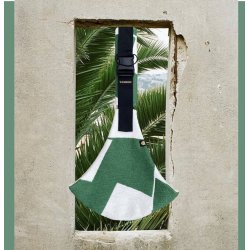 Wildride - Green Graphic