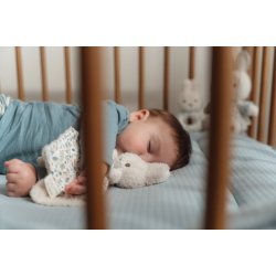 Miffy x Little Dutch Gaveske - Lucky Leaves